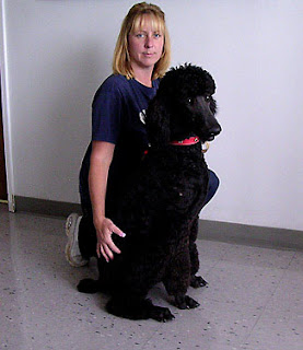 Bentley with Lila, his guardian/owner