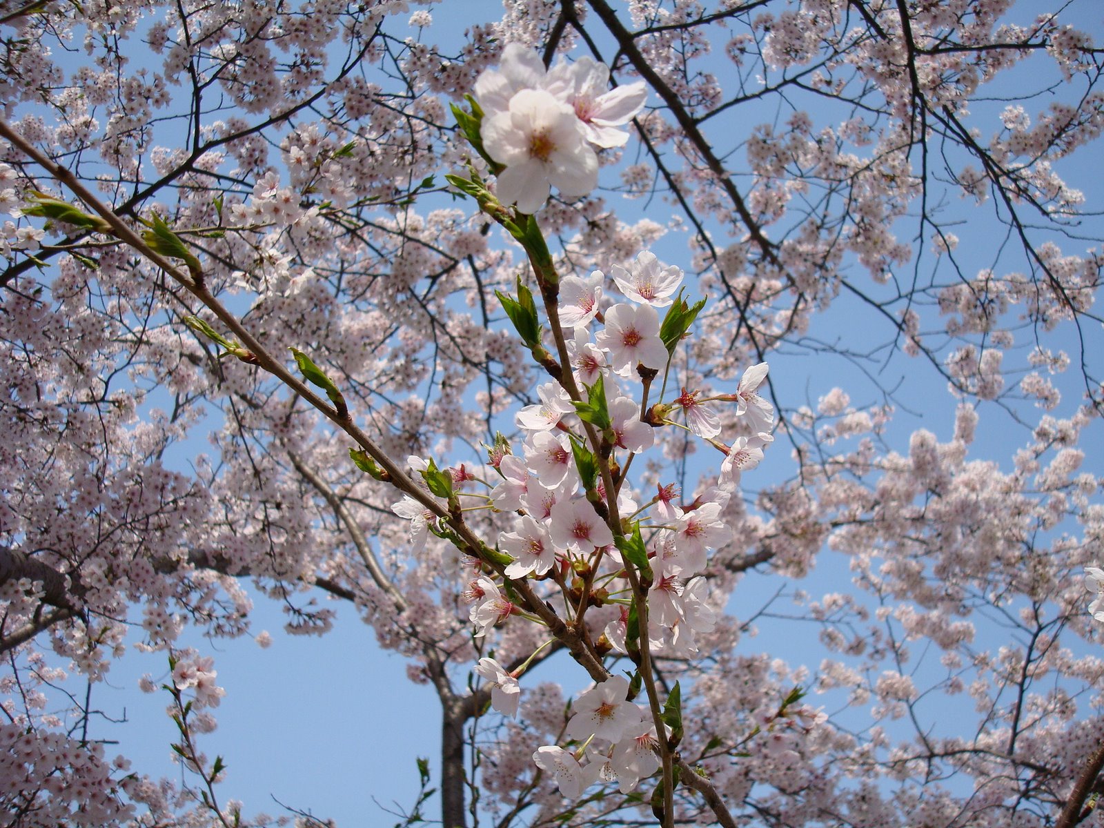 [DSC00880.JPG]