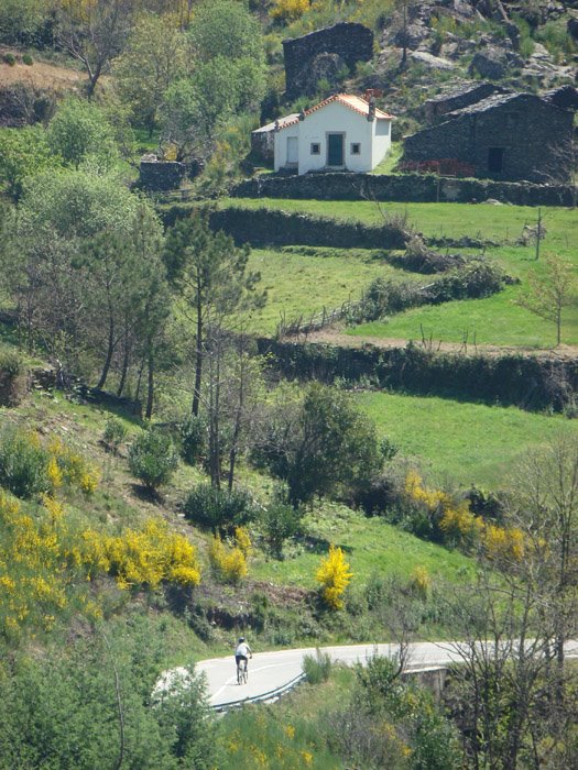 [DSC08345_.jpg]