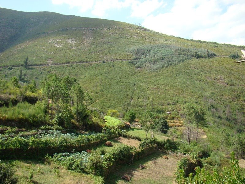 [DSC09412.JPG]