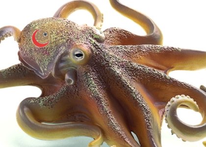 [pieuvre_2.jpg]