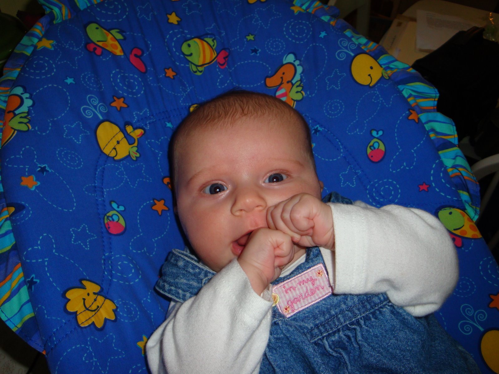 [DSC06615++Chloe-+2+mos..JPG]