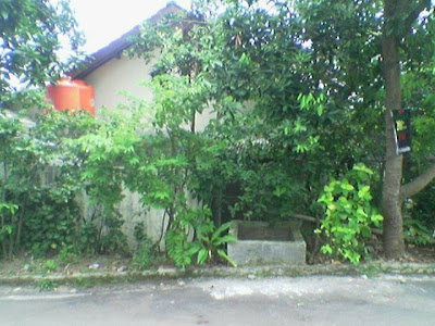 tampak+samping+1.JPG