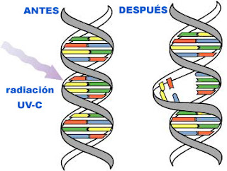 Ventajas de la luz ultravioleta para la desinfección del agua