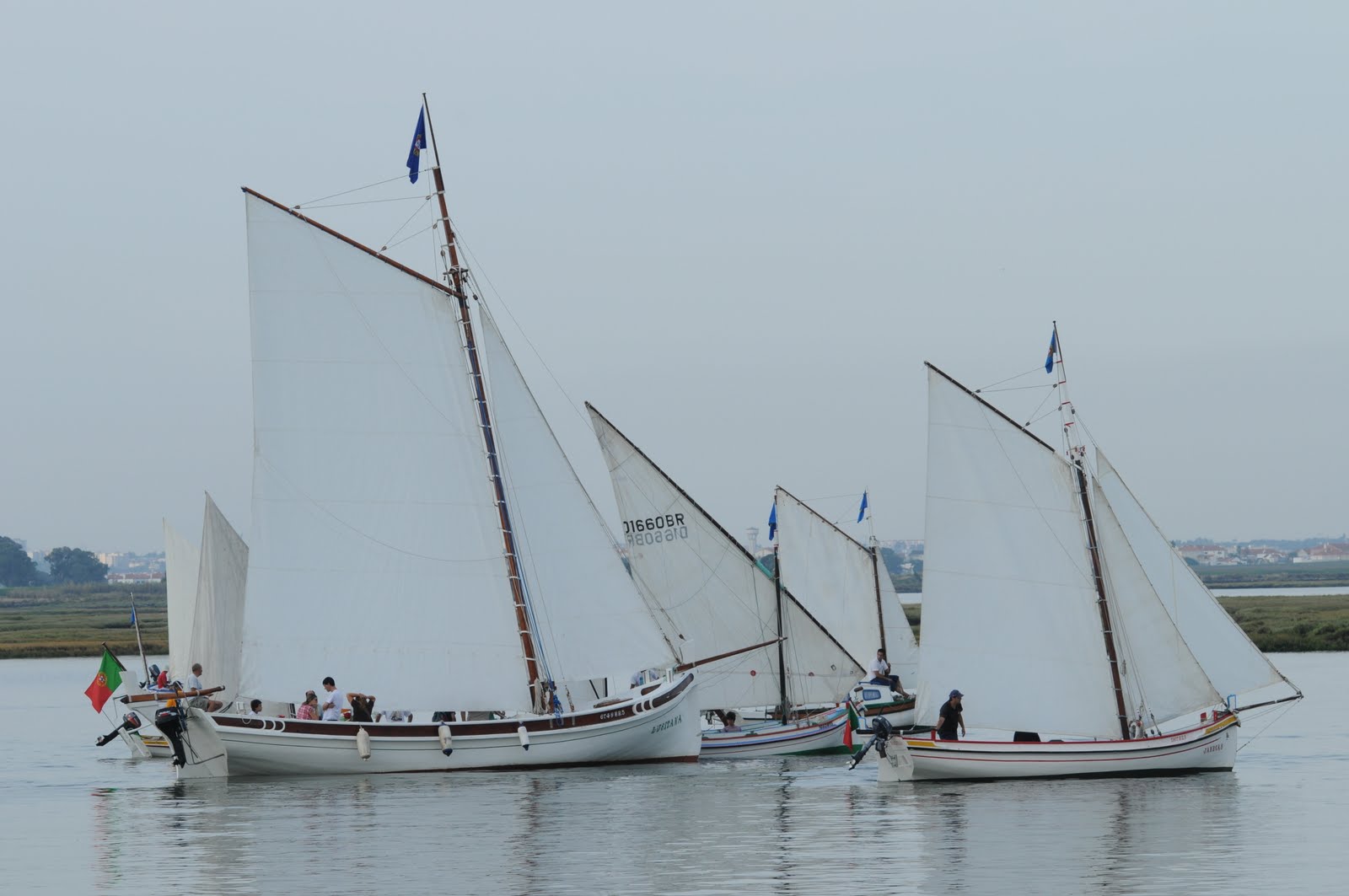 [DSC_8990.JPG]