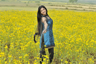 Poonam Kaur Photos In Nagavalli Movie