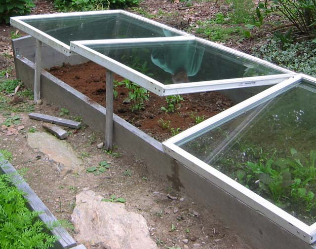 The Existential Gardener How to Build a Cold Frame