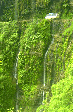 [bolivia432[1].gif]