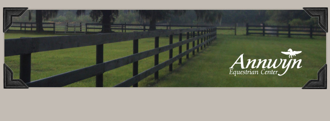 Annwyn Equestrian News & Events