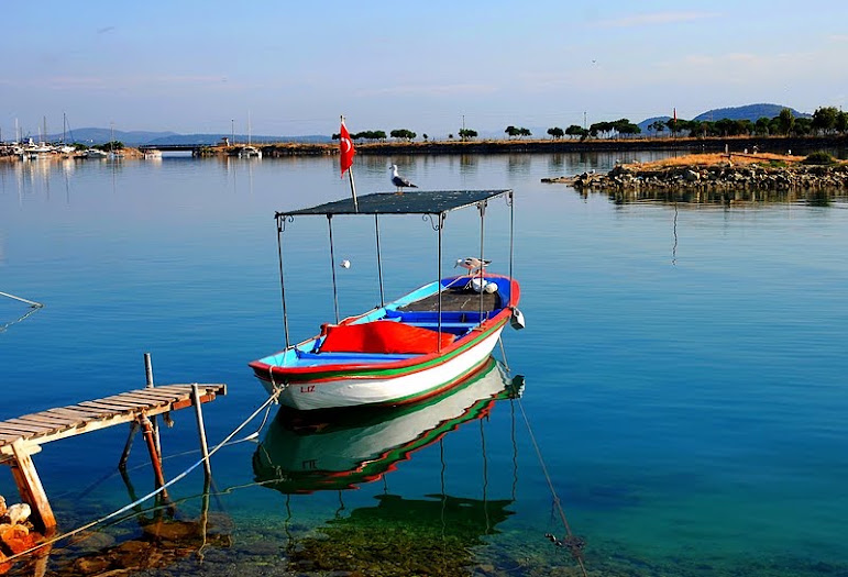 416 - MAYIS 10' FOTOĞRAFLARI