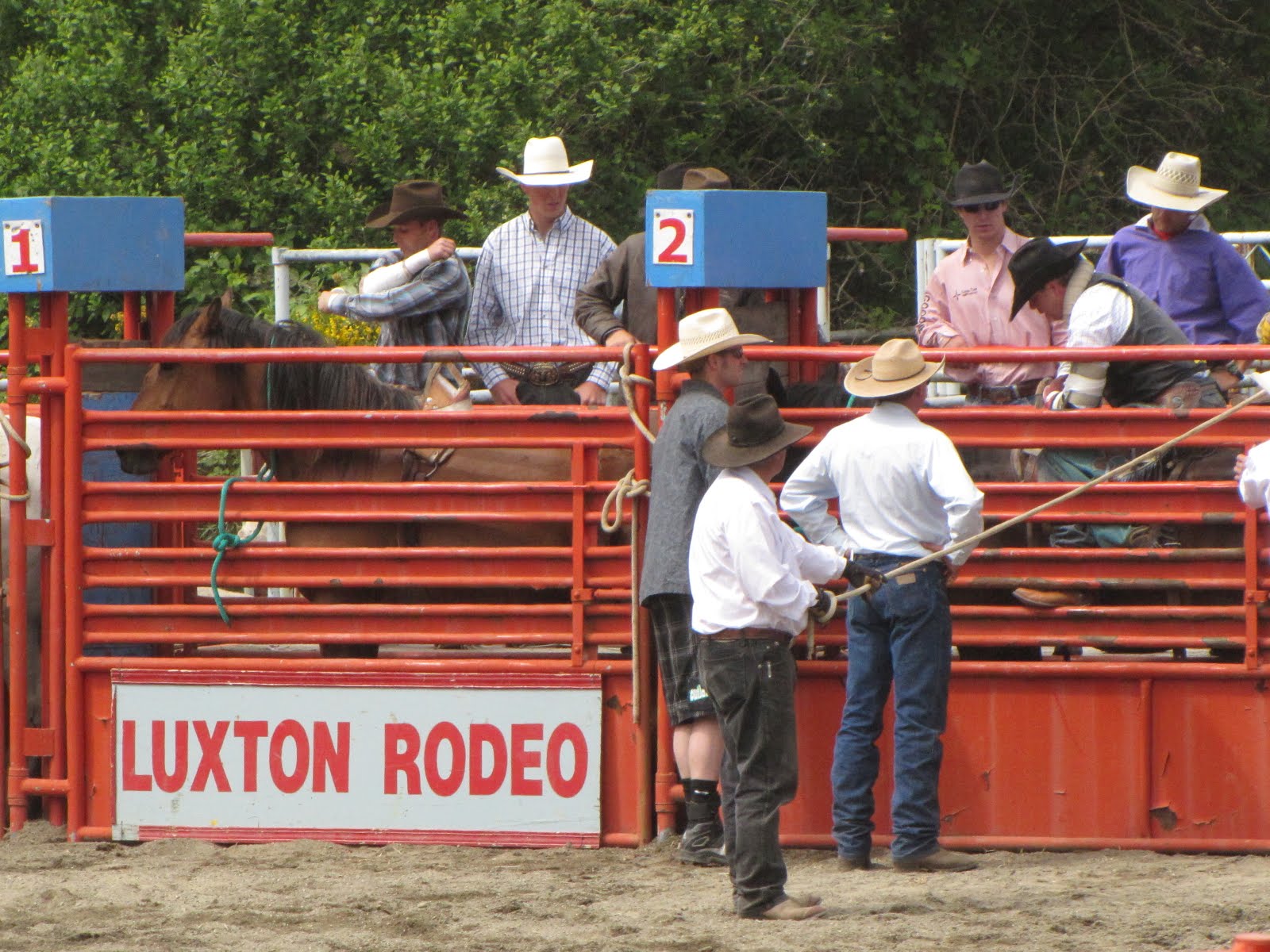 western rodeo images
