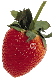 Saját fotó