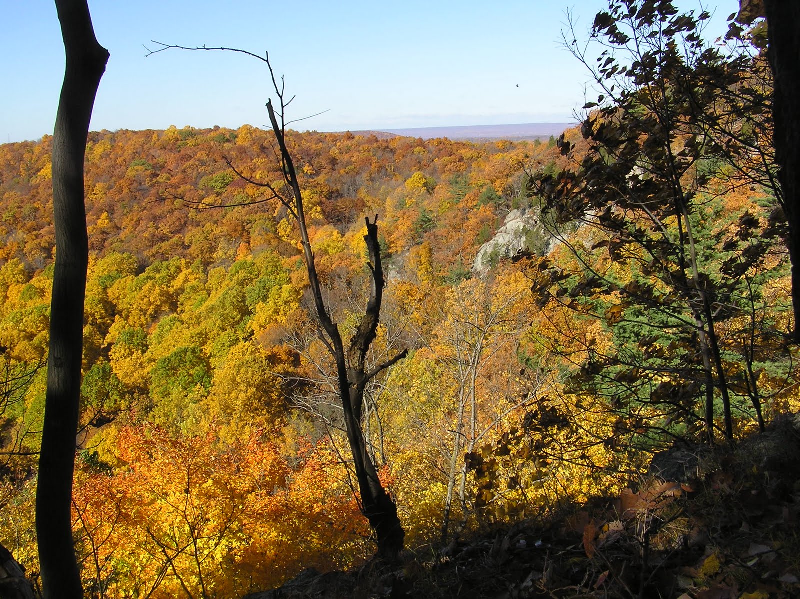 Travels With Charlie