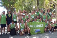 Halcones: el equipo