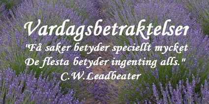 Vardagsbetraktelser