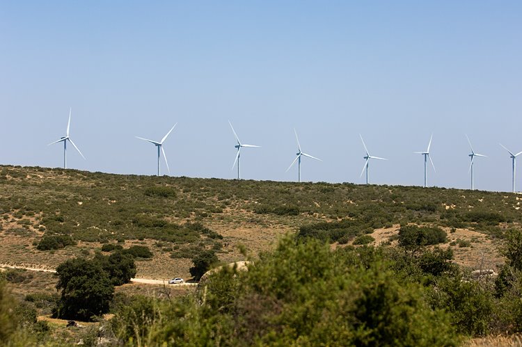 [windmills_boulevard_057.jpg]