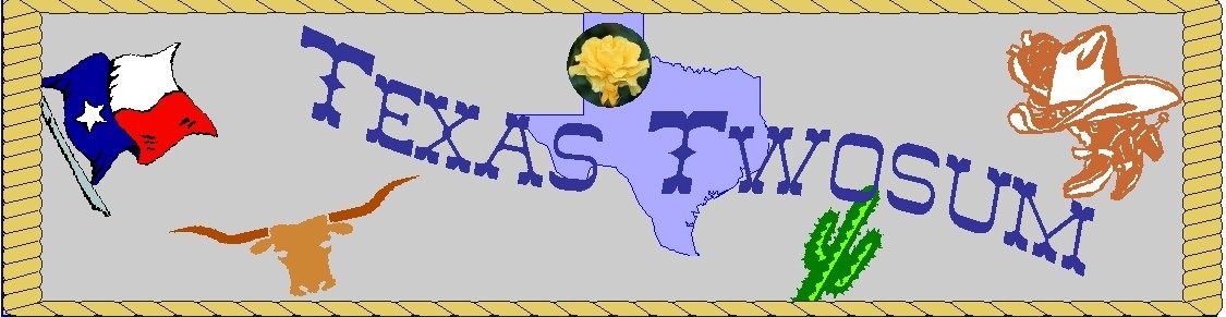Texas Twosum
