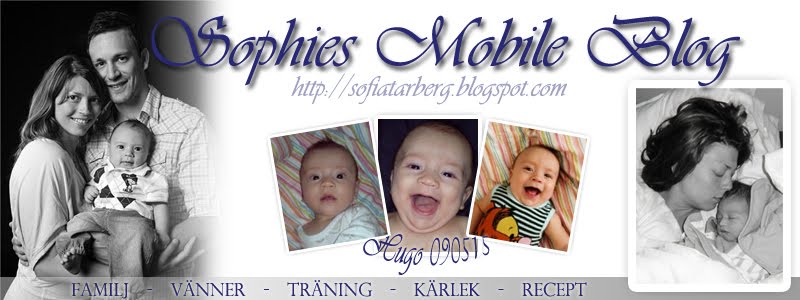 Sophies Mobile Blog