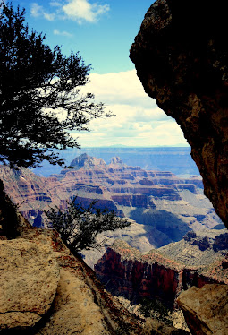 Grand Canyon Framed
