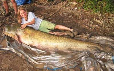Biggest River Fish