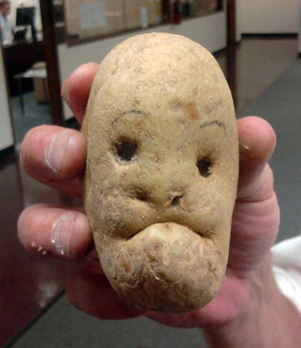 potatoes with eyes