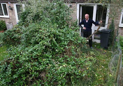 Overgrown%2Bgarden.jpg
