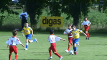 Amichevole Rizzi