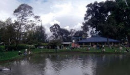 Vista del Restaurante