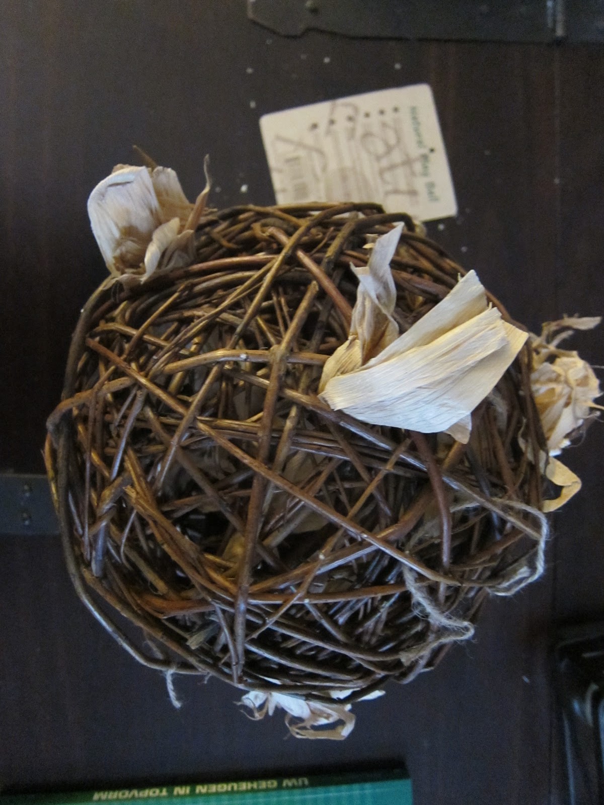 Undercover Guinea Pigs Toys Willow Ball