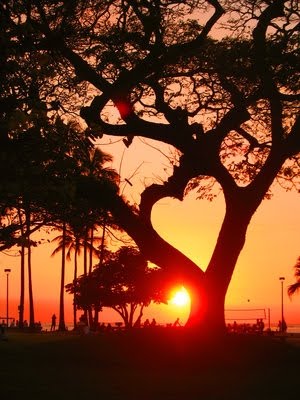 http://3.bp.blogspot.com/_fA278jya8Ng/S8Wc9NMv0QI/AAAAAAAAAe8/epIHKp9Avpo/s1600/arvore.jpg
