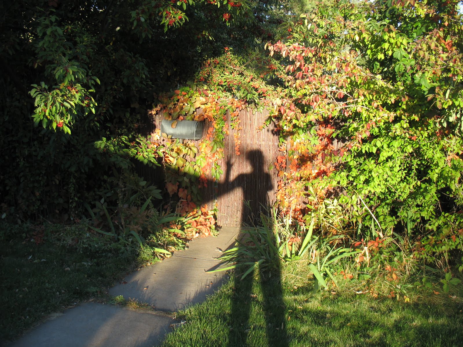 [IMG_7166.jpg]