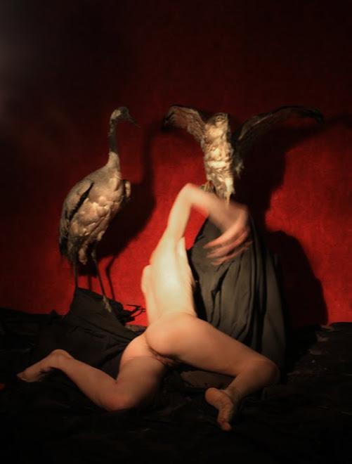 Sonámbula en su ciénaga