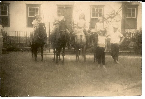 Paixão por cavalos