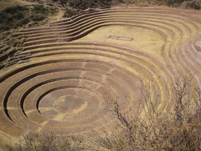 [3340_moray-4-mit-bauch+(Medium).jpg]