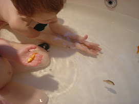 Grandma put fish in her tub