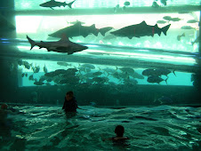 Tyler and Abby swimming with the sharks