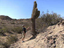 La valle de la luna (cactus)