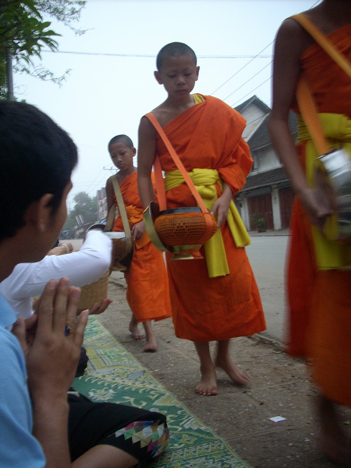 [DSCN5542.JPG]