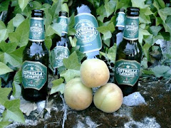 LOS FRUTOS DE LA HUERTA
