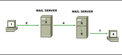 CCNA 1 Final V4.0