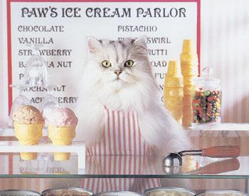 [kucing-jualan-ice-cream.jpg]