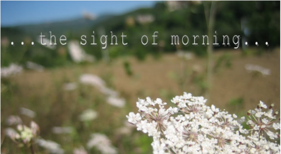 ...the sight of morning...