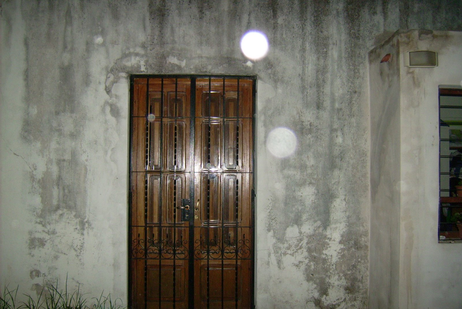 [DSCI0542.JPG]