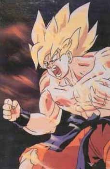 [gokuss.jpg]