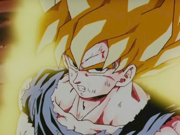 [gokusss1.jpg]