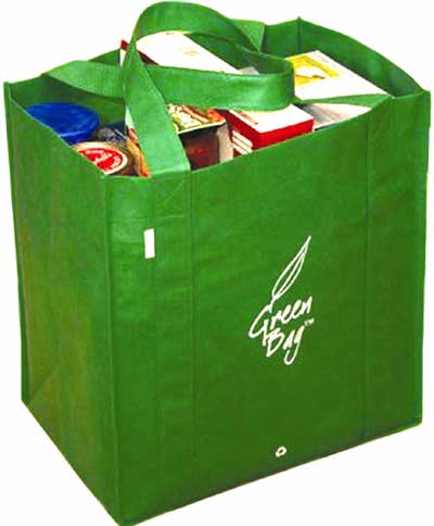 [greenbag.jpg]