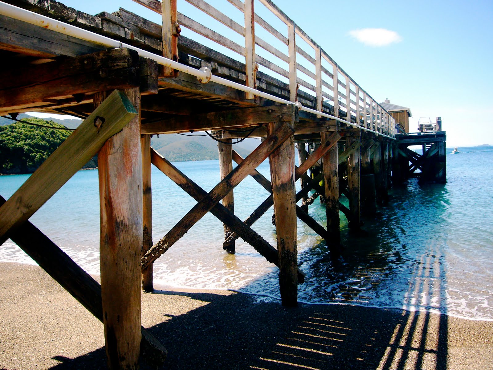 NORTH TRAVELLER NEW ZEALAND / FRENCH PASS