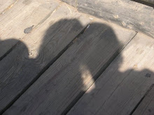 No Son Simples Sombras...
