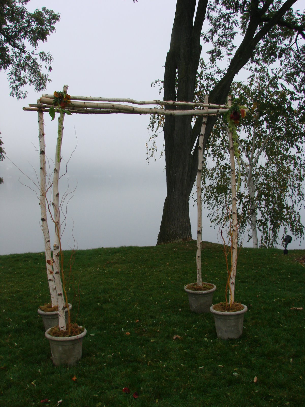 [Birch+Arch+2.JPG]