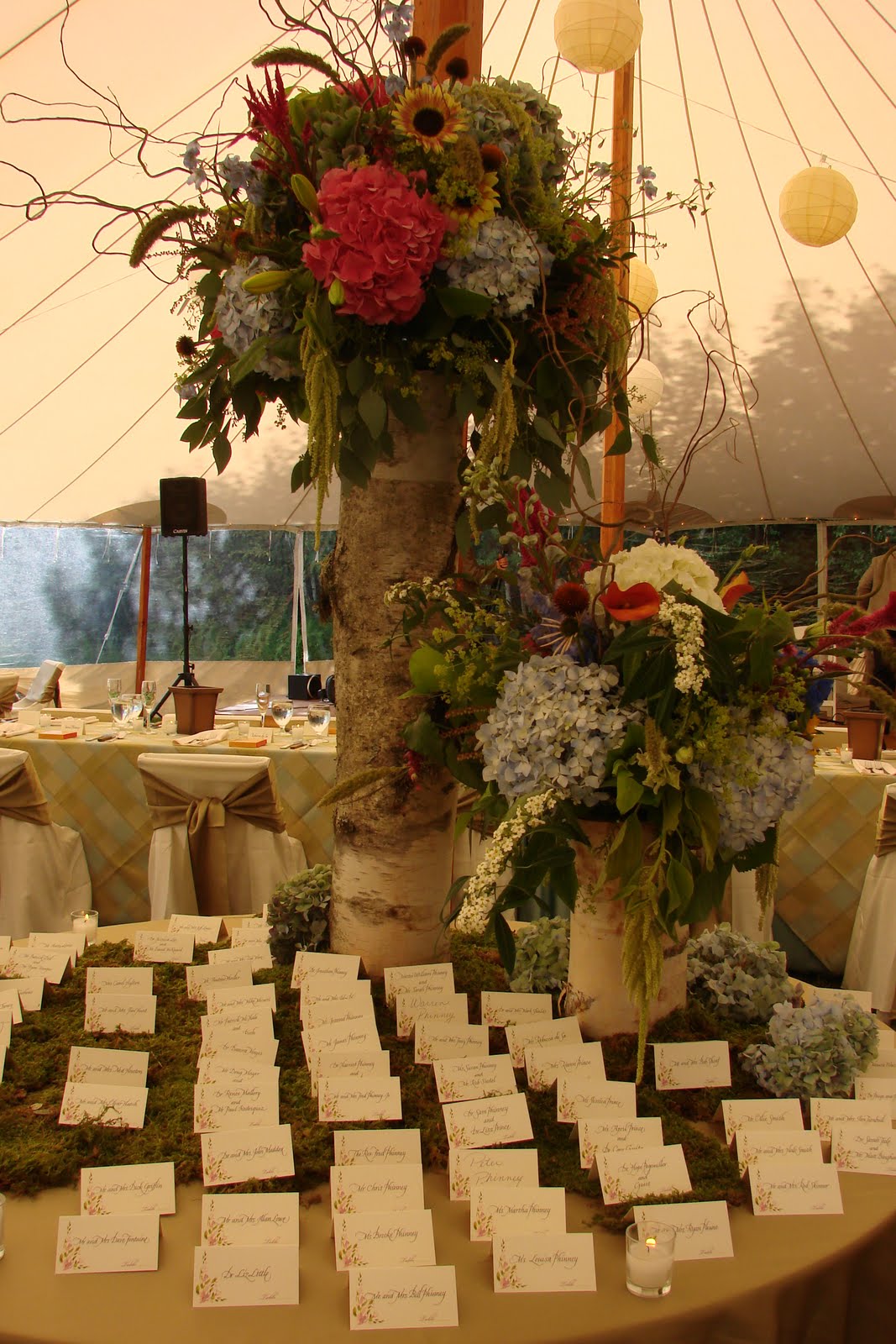 [DSC04714.JPG]